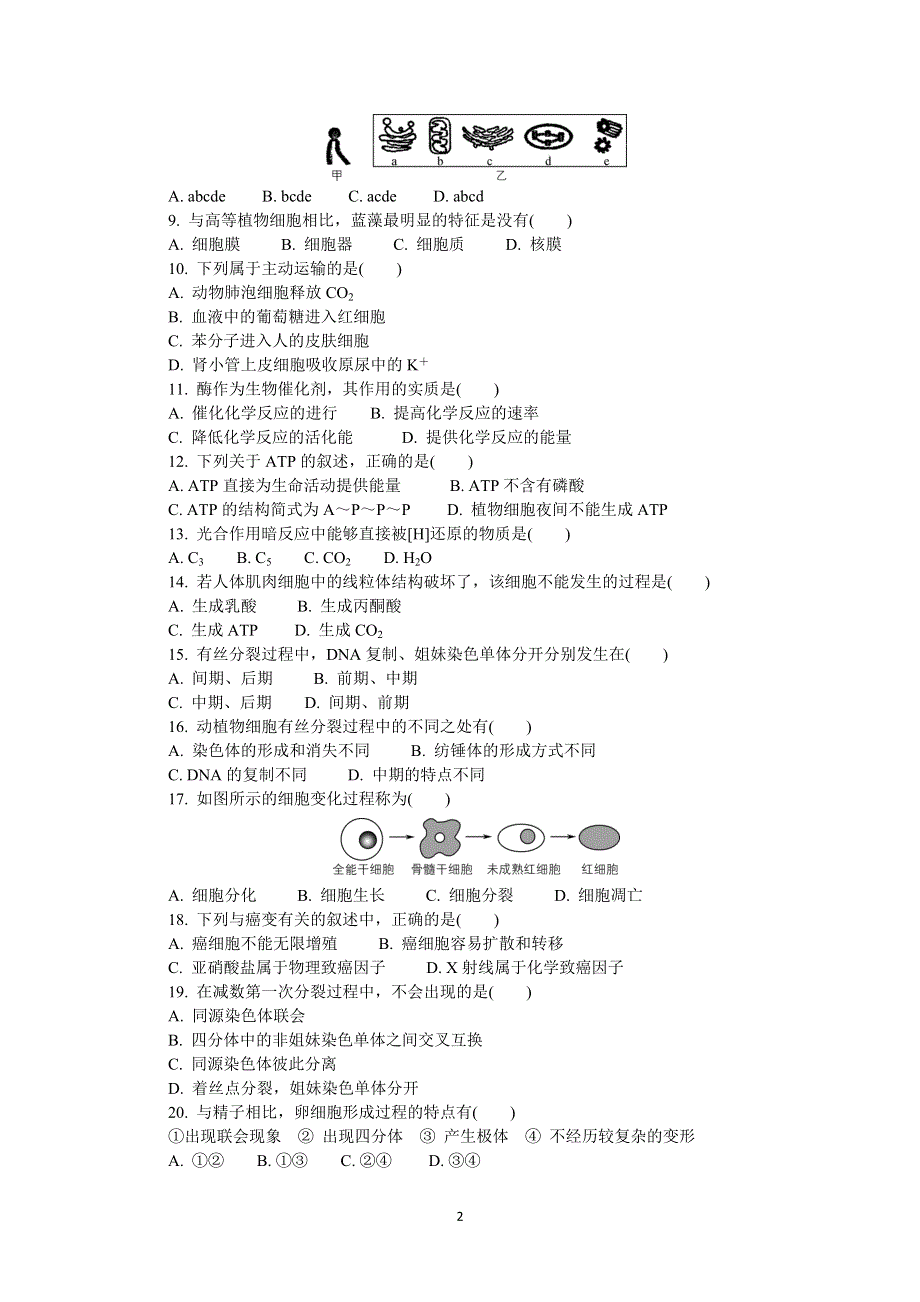 《发布》江苏省连云港市2019-2020学年高二学业水平合格性考试模拟试卷（12月） 生物 WORD版含答案.DOCX_第2页