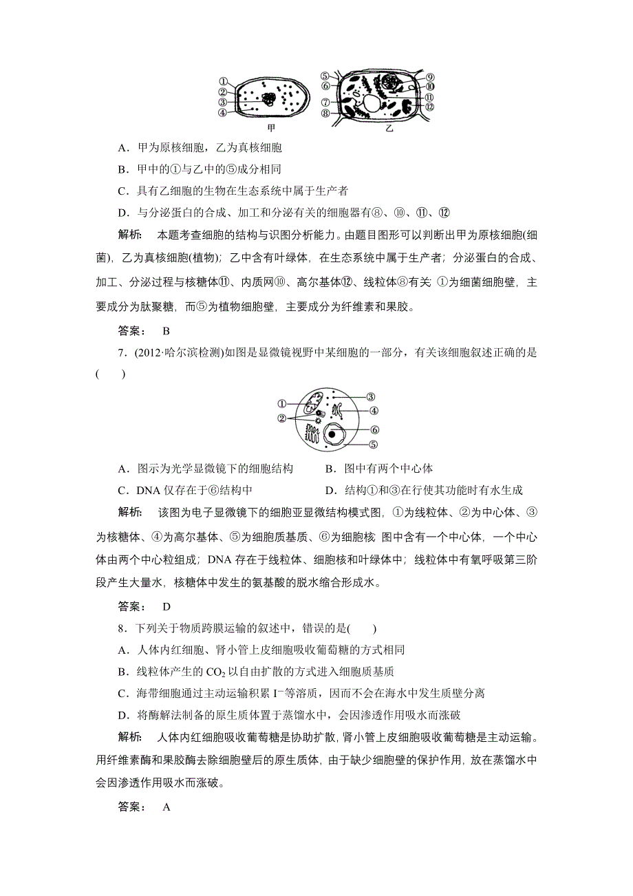 2013年高三生物一轮总复习新课标教案 高效测评卷(四) 必修1 人教版.doc_第3页