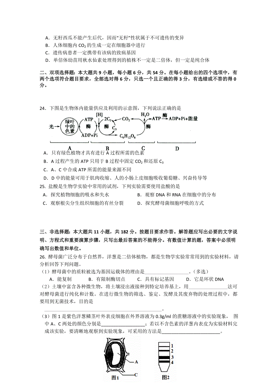 广东省中山市小榄中学2015届高三理综周日模拟考试生物试题（2015．03.22）.doc_第2页