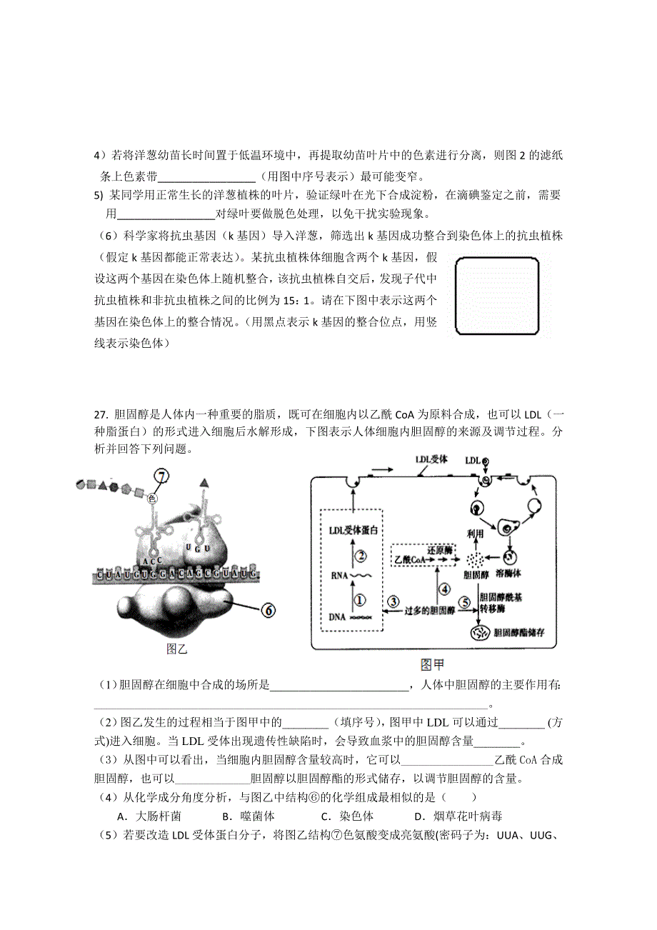 广东省中山市小榄中学2015届高三理综周日模拟考试生物试题（2015．03.22）.doc_第3页