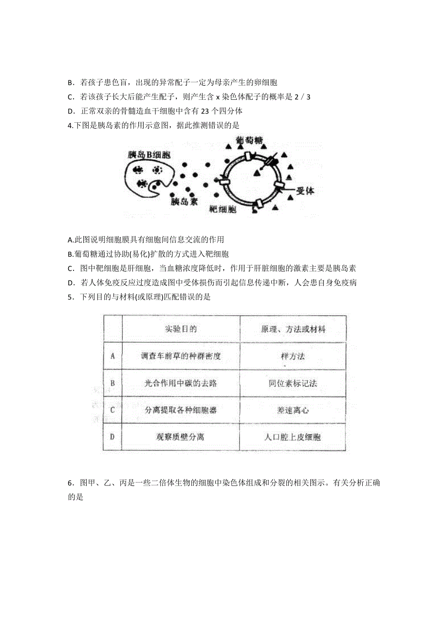 山东省山师附中2014届高三第五次模拟考试 理综试题 WORD版含答案.doc_第2页