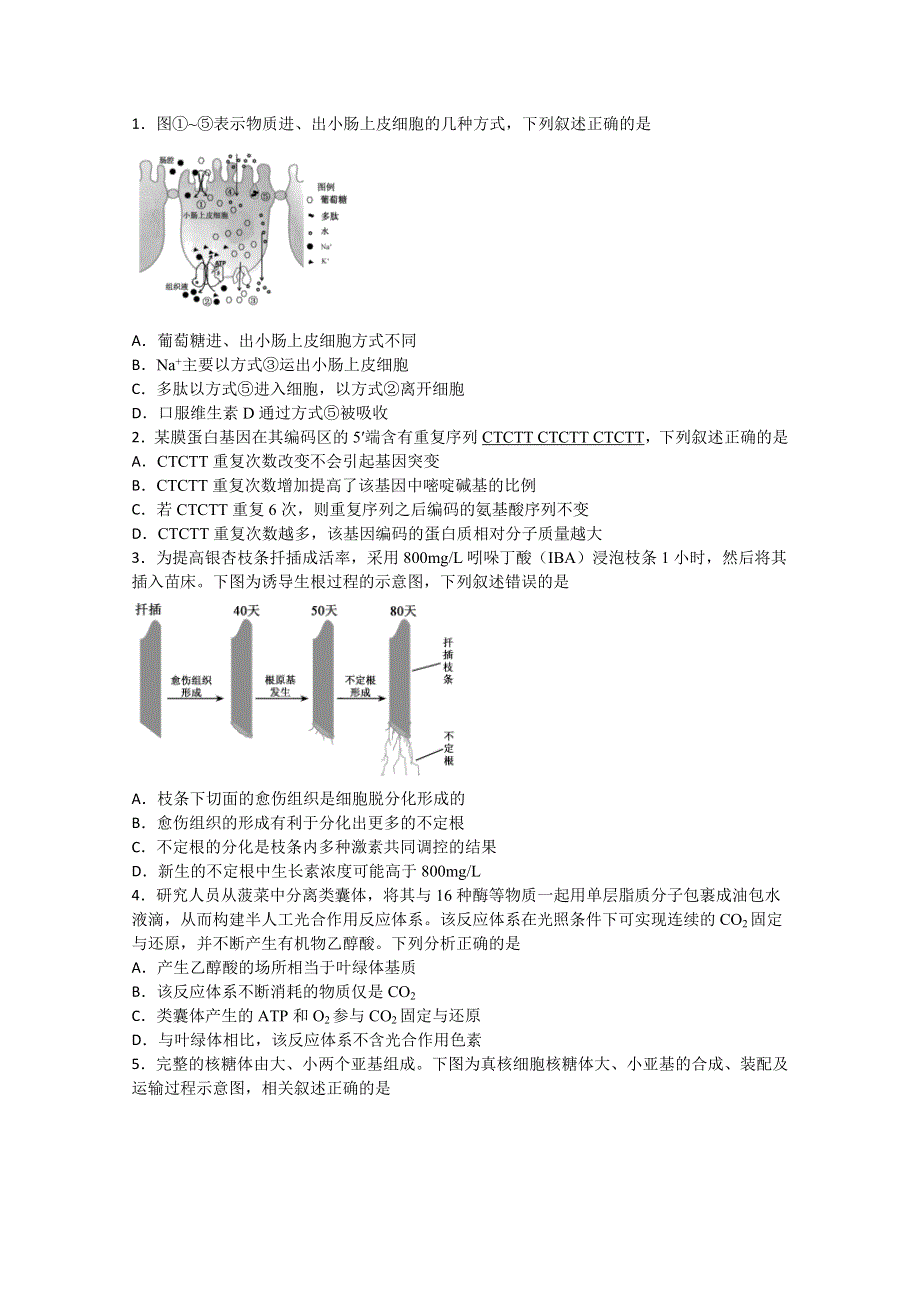 四川省棠湖中学2021届高三上学期开学考试理综-生物试题 WORD版含答案.doc_第1页