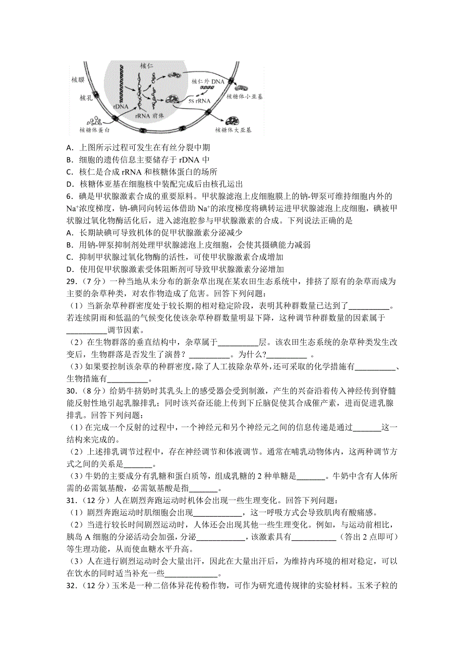 四川省棠湖中学2021届高三上学期开学考试理综-生物试题 WORD版含答案.doc_第2页