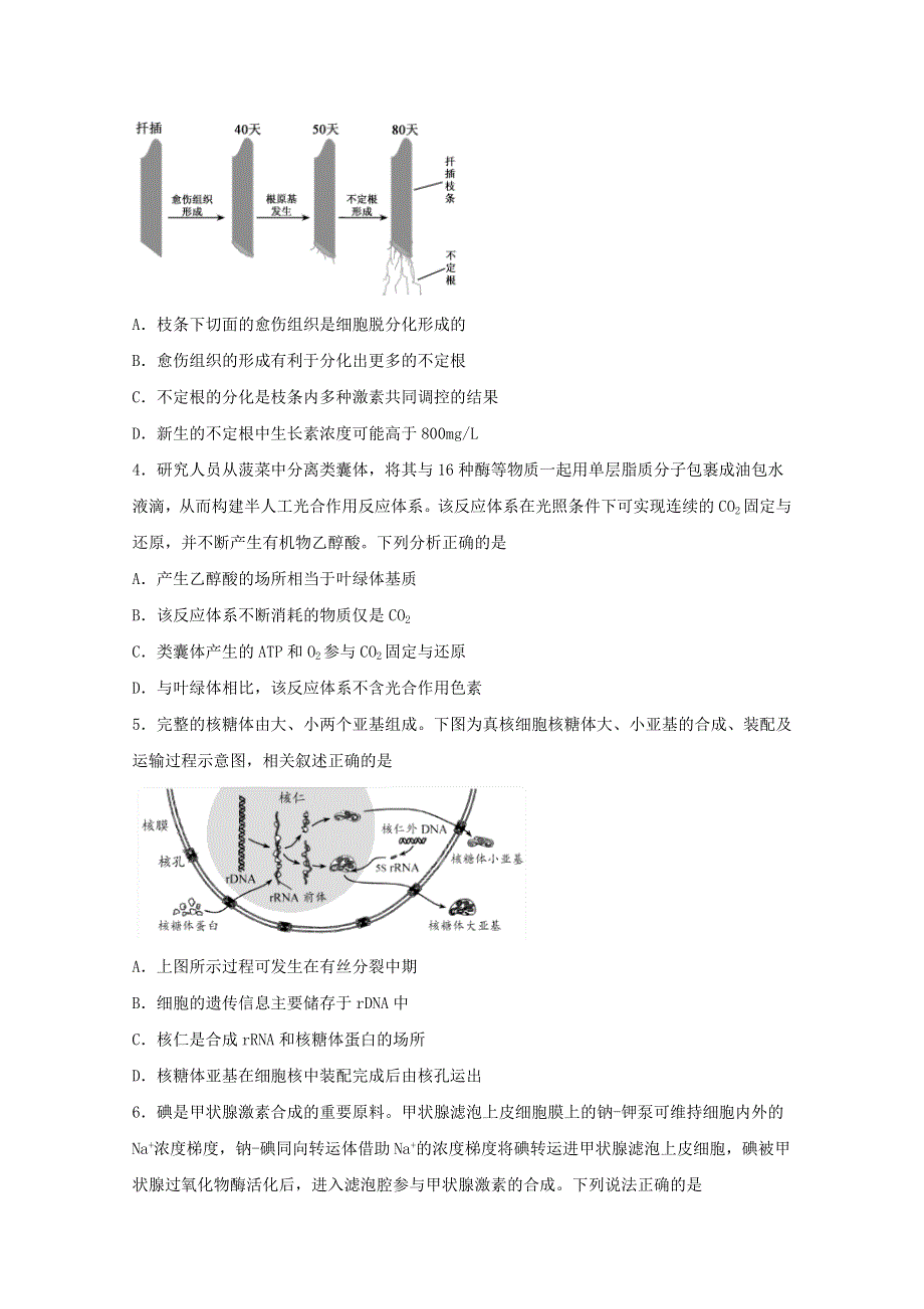 四川省棠湖中学2021届高三理综上学期开学考试试题.doc_第2页