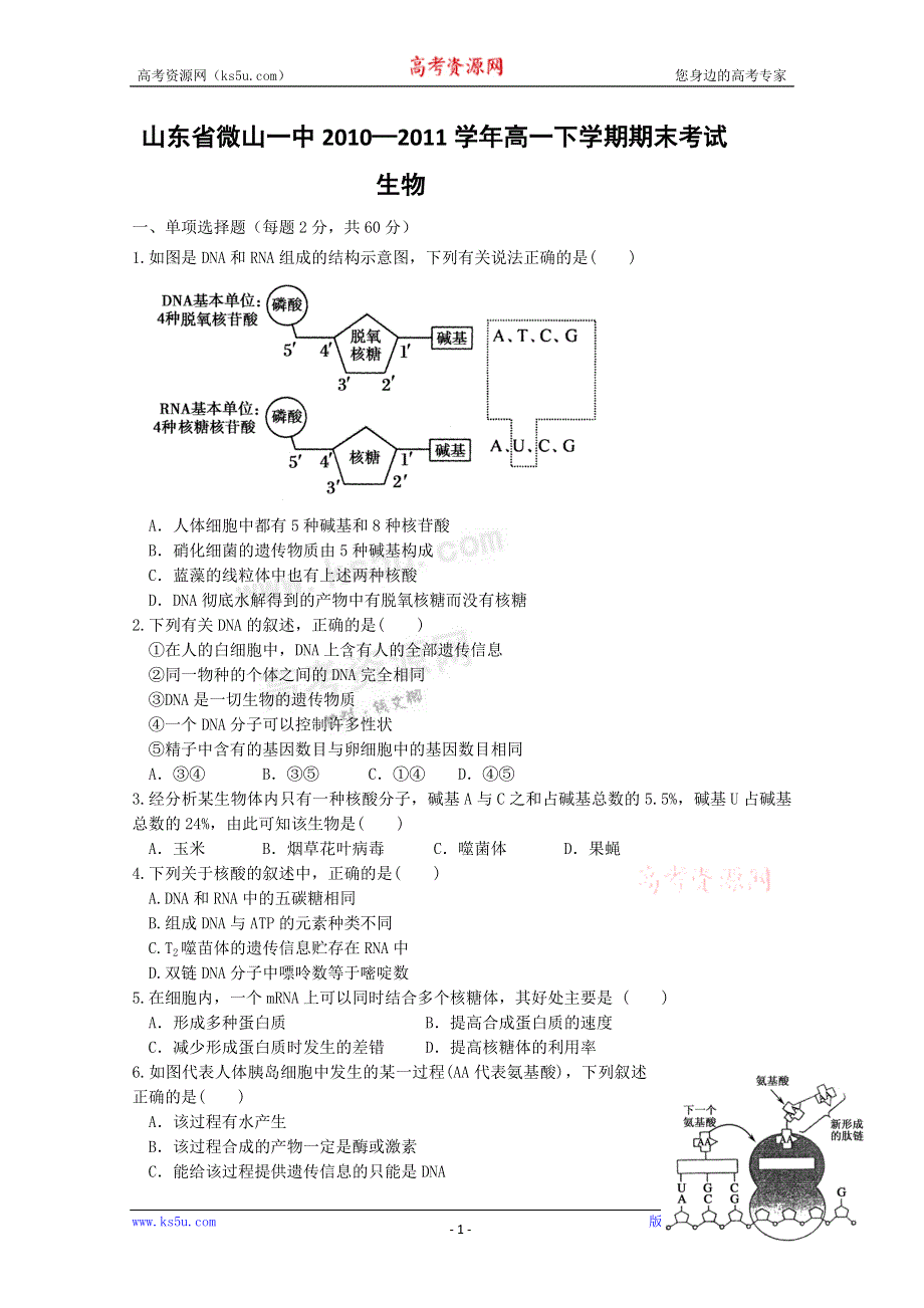 山东省微山一中10-11学年高一下学期期末考试（生物）.doc_第1页