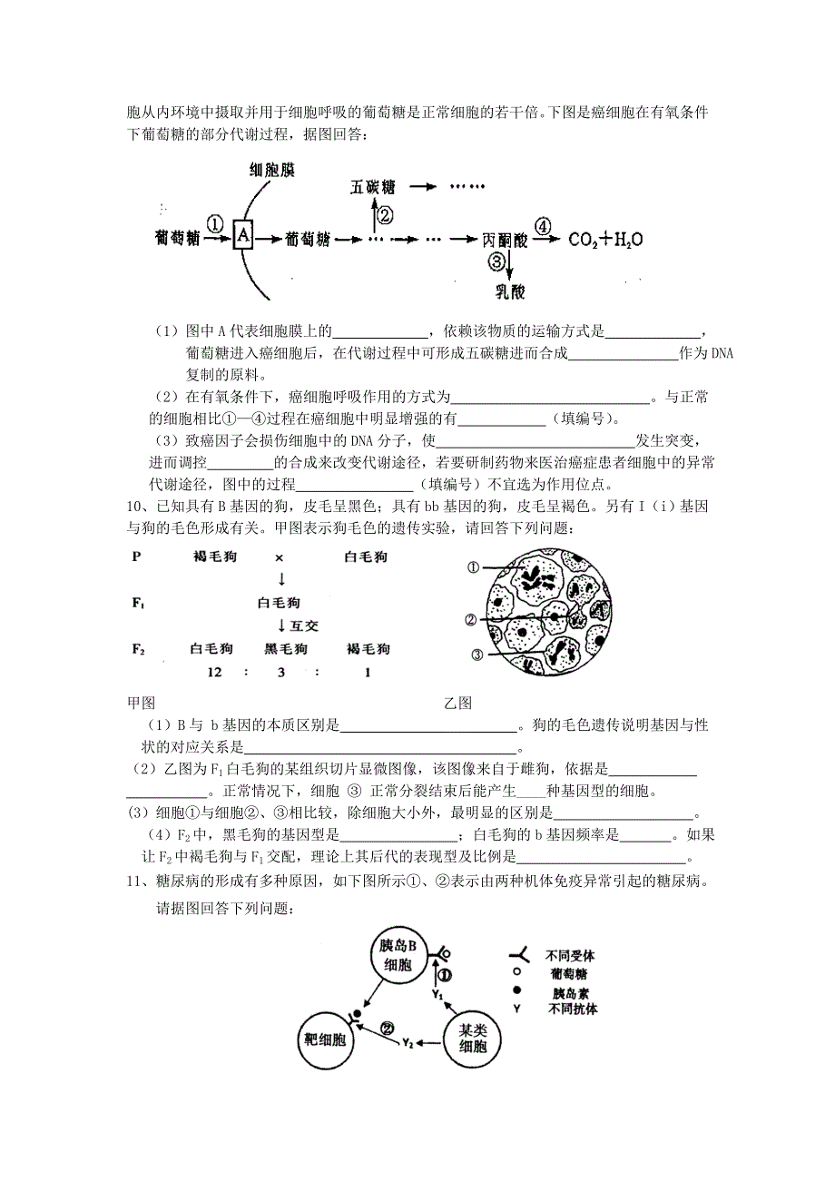 广东省佛山市2013届高三一模前模拟（二）生物试题 WORD版含答案.doc_第2页