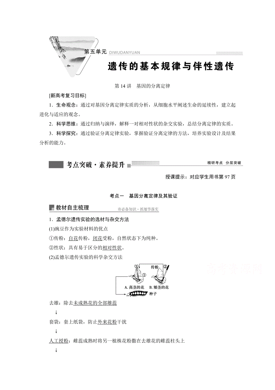 2022届新高考生物苏教版一轮学案：第14讲　基因的分离定律 WORD版含解析.doc_第1页