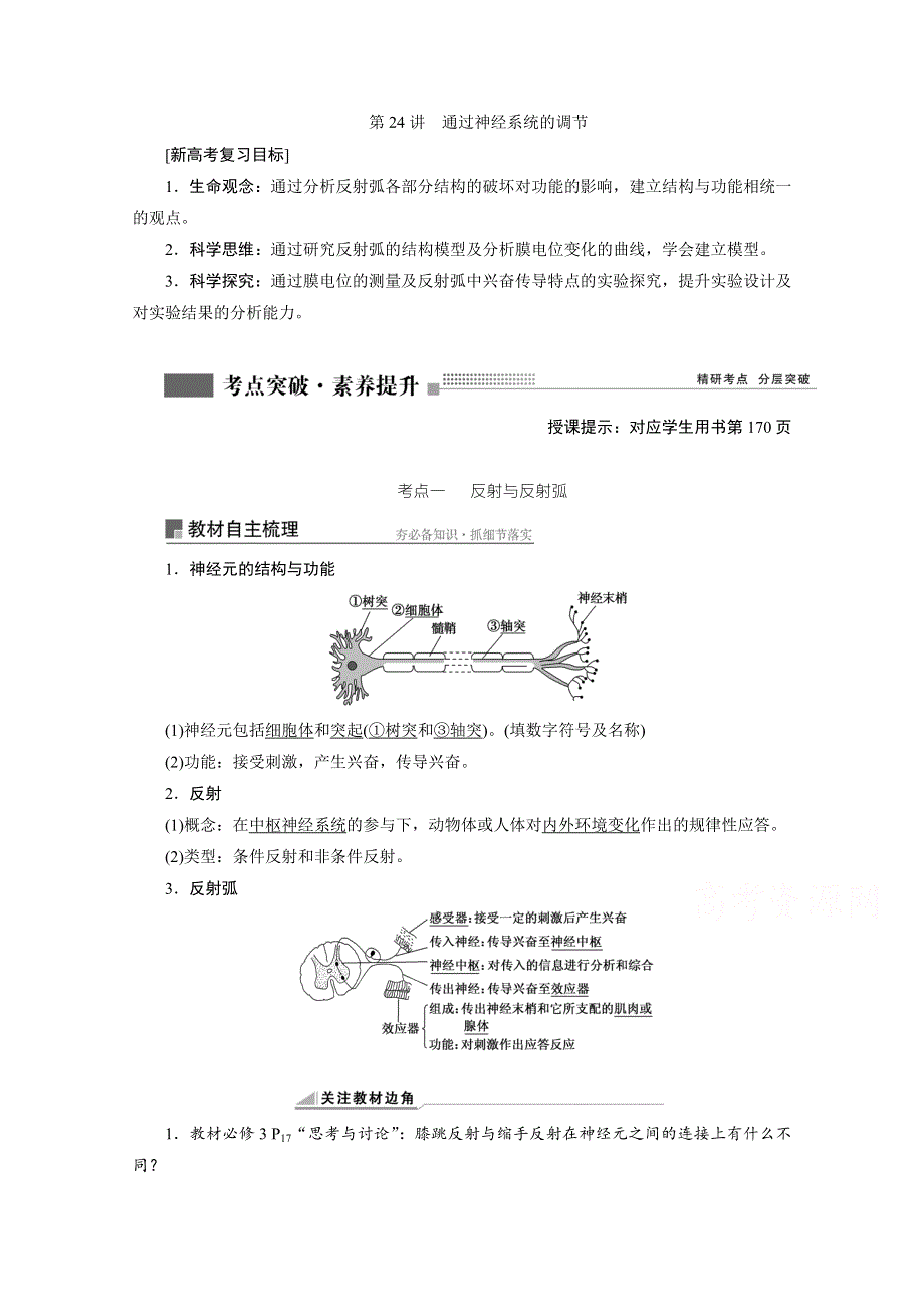 2022届新高考生物苏教版一轮学案：第24讲　通过神经系统的调节 WORD版含解析.doc_第1页