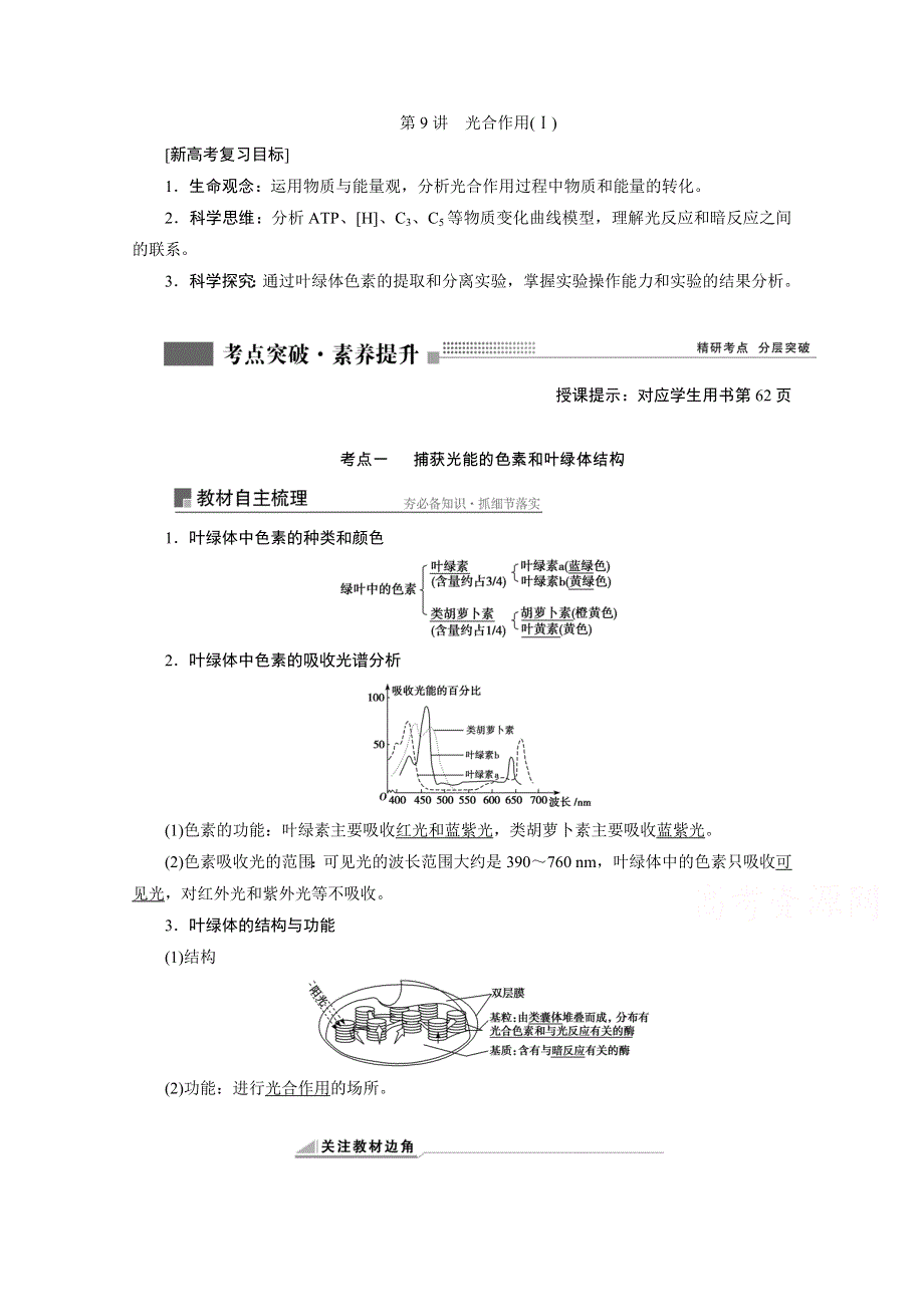 2022届新高考生物苏教版一轮学案：第9讲　光合作用（Ⅰ） WORD版含解析.doc_第1页