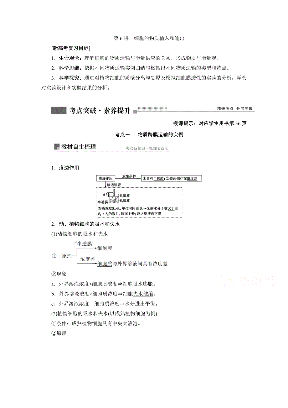 2022届新高考生物苏教版一轮学案：第6讲　细胞的物质输入和输出 WORD版含解析.doc_第1页