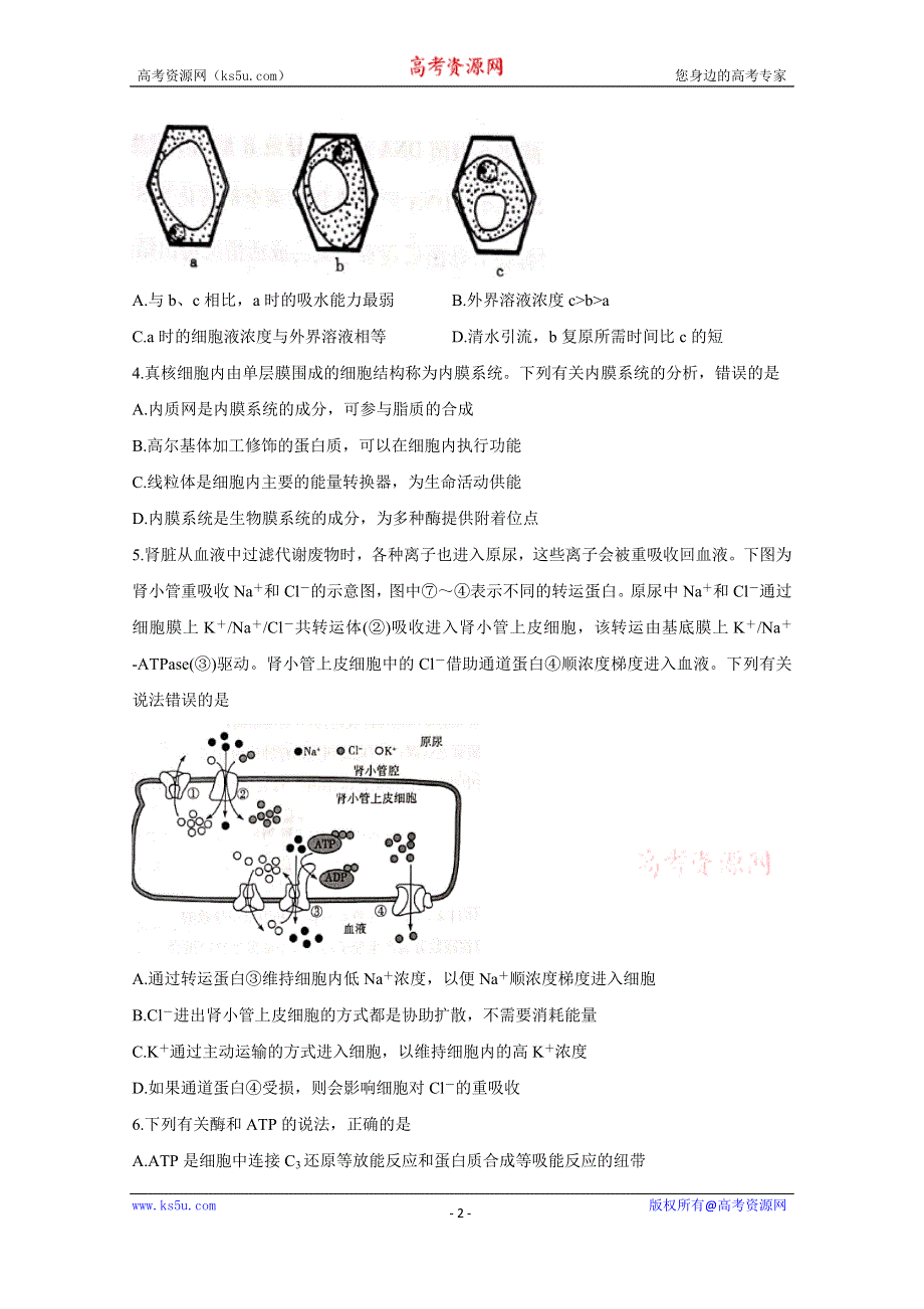 《发布》河南省焦作市普通高中2021-2022学年新高二上学期定位考试 生物 WORD版含答案BYCHUN.doc_第2页