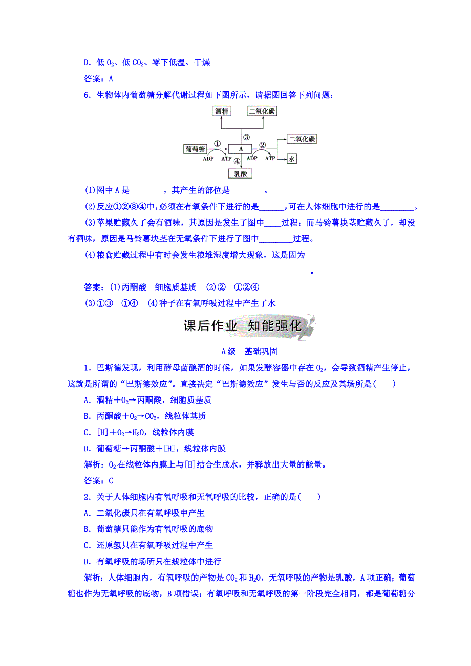 2018秋人教版高中生物必修一检测：第5章 第3节 ATP的主要来源——细胞呼吸 WORD版含答案.doc_第2页