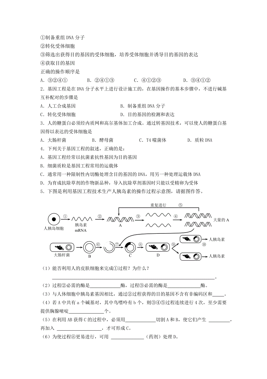 山东省文登市教育教学研究培训中心2015高考生物人教版必修三教学案：专题1基因工程 第2课时.doc_第3页