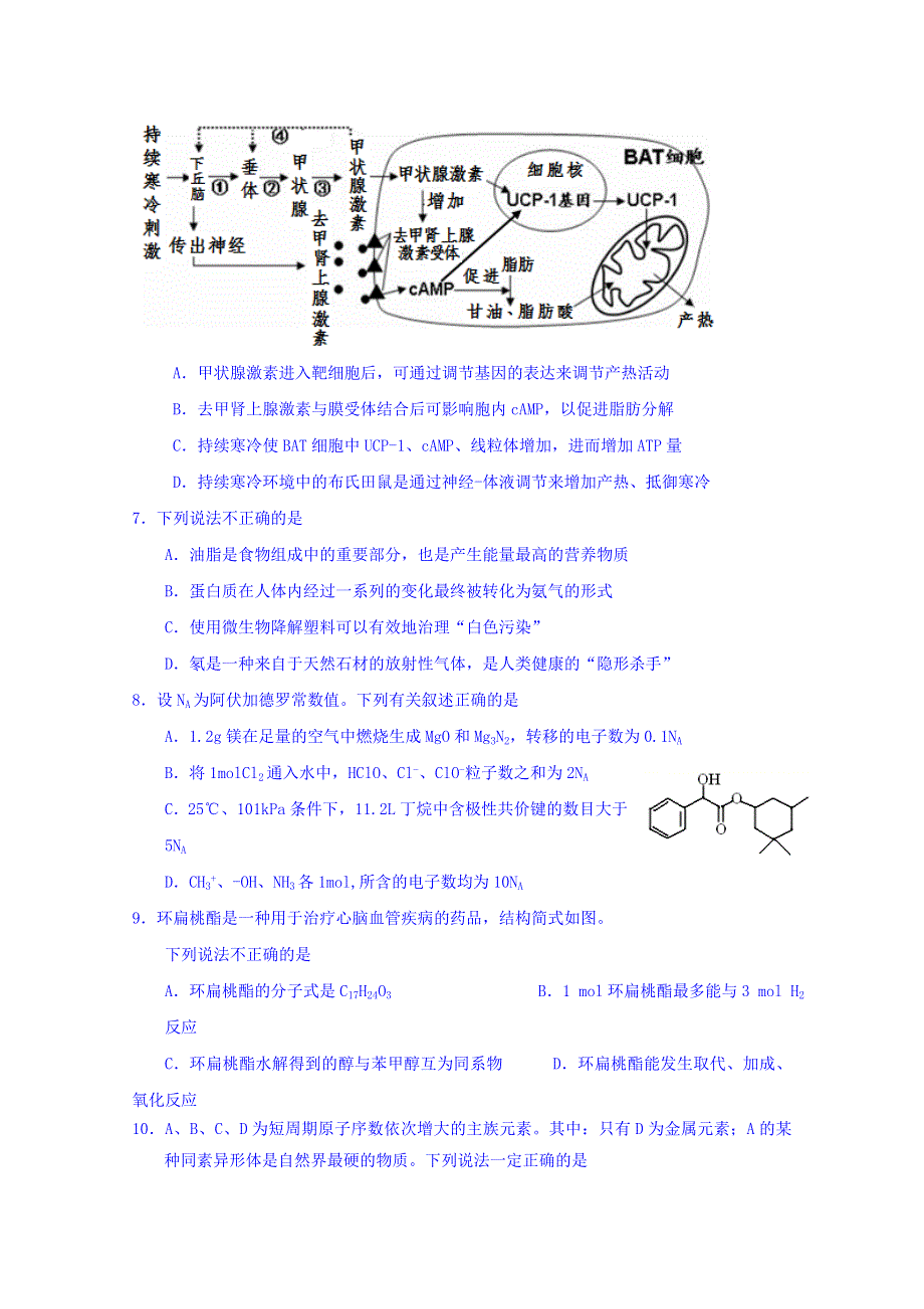 四川省棠湖中学2019届高三上学期第二次月考理科综合试题 WORD版含答案.doc_第3页