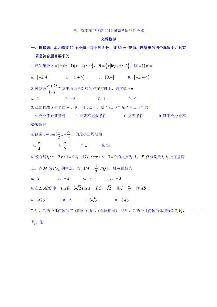 四川省棠湖中学2019届高三高考适应性考试数学（文）试题 WORD版含答案.doc_第1页