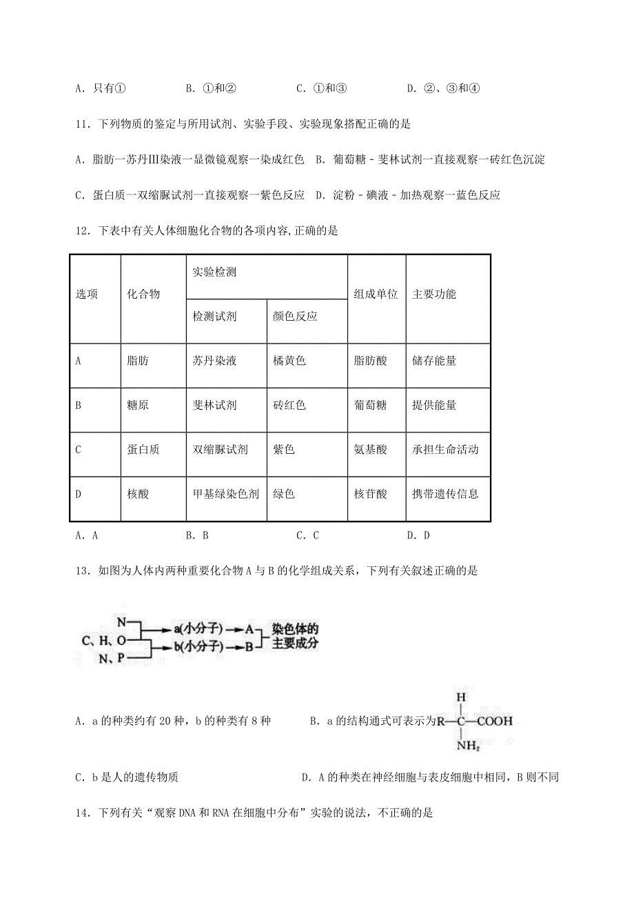 四川省棠湖中学2020-2021学年高一生物上学期第二次月考试题.doc_第3页