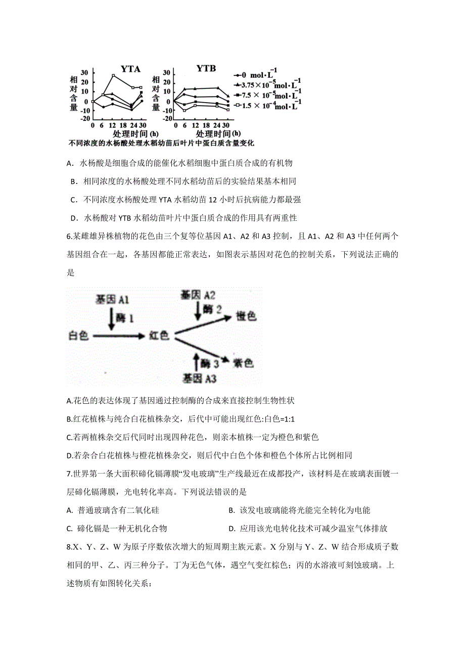 四川省棠湖中学2020届高三上学期开学考试理科综合试题 WORD版含答案.doc_第2页