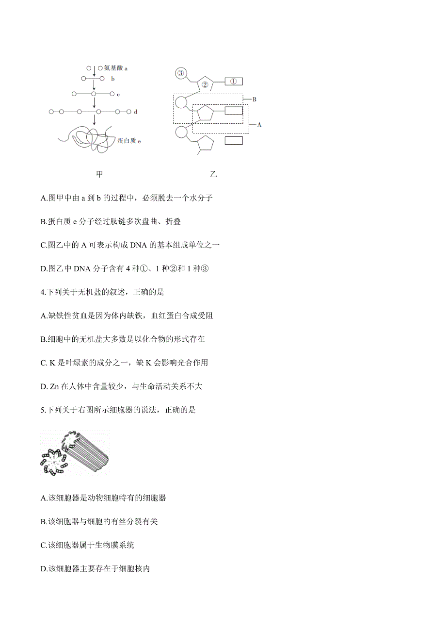 内蒙古西四旗2020-2021学年高一上学期期末考试生物试题 WORD版含答案.docx_第2页