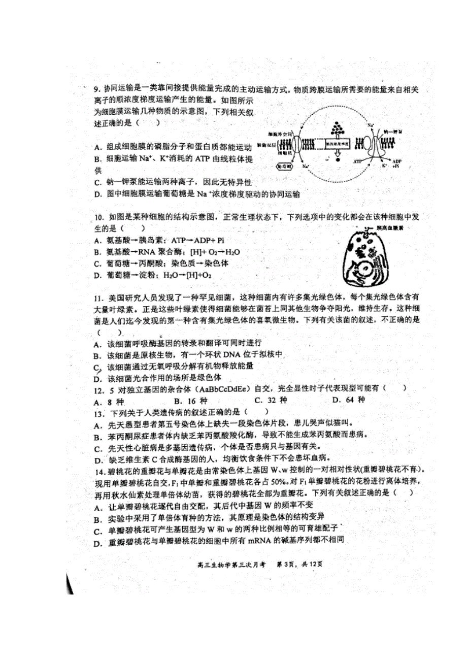 内蒙古赤峰二中2021届高三第三次月考生物试题 扫描版含答案.docx_第3页