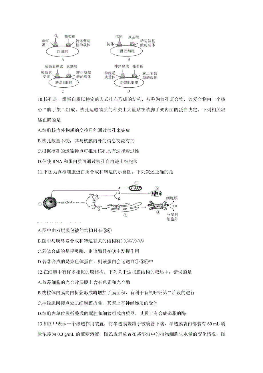 《发布》河南省信阳市2020-2021学年高二下学期期末教学质量检测 生物 WORD版含答案BYCHUN.doc_第3页