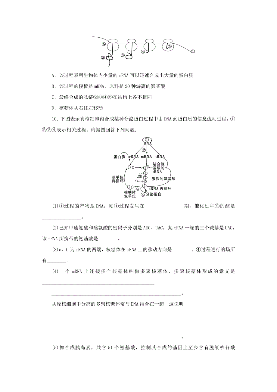 人教版高中生物必修2同步习题：4.2基因对性状的控制 WORD版含答案.doc_第3页