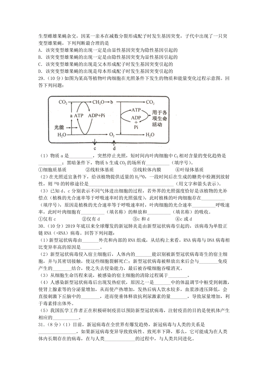 四川省棠湖中学2020届高三生物下学期第四学月考试试题.doc_第2页