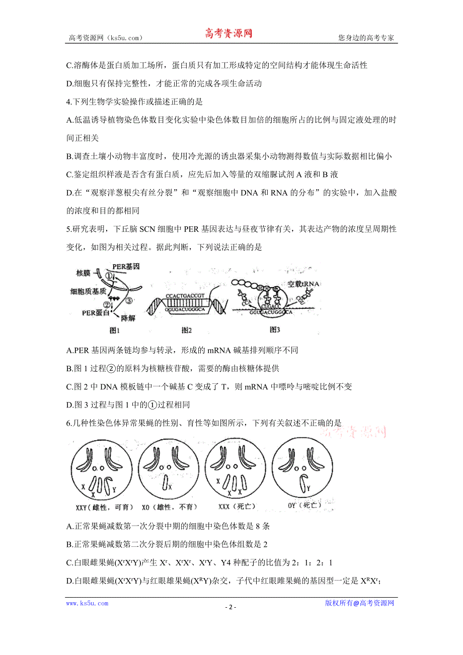 《发布》河南省六市2020届高三第一次模拟调研试题（4月） 生物 WORD版含答案BYCHUN.doc_第2页