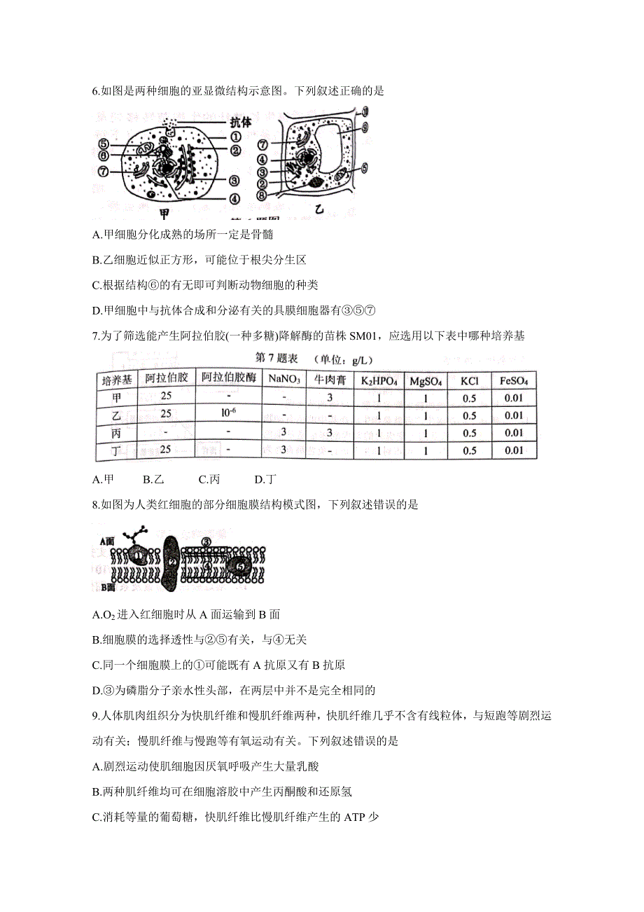 《发布》浙江省杭州地区（含周边）重点中学2020届高三上学期期中考试 生物 WORD版含答案BYCHUN.doc_第2页