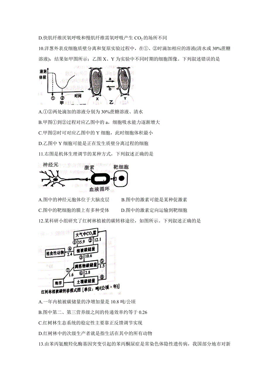 《发布》浙江省杭州地区（含周边）重点中学2020届高三上学期期中考试 生物 WORD版含答案BYCHUN.doc_第3页