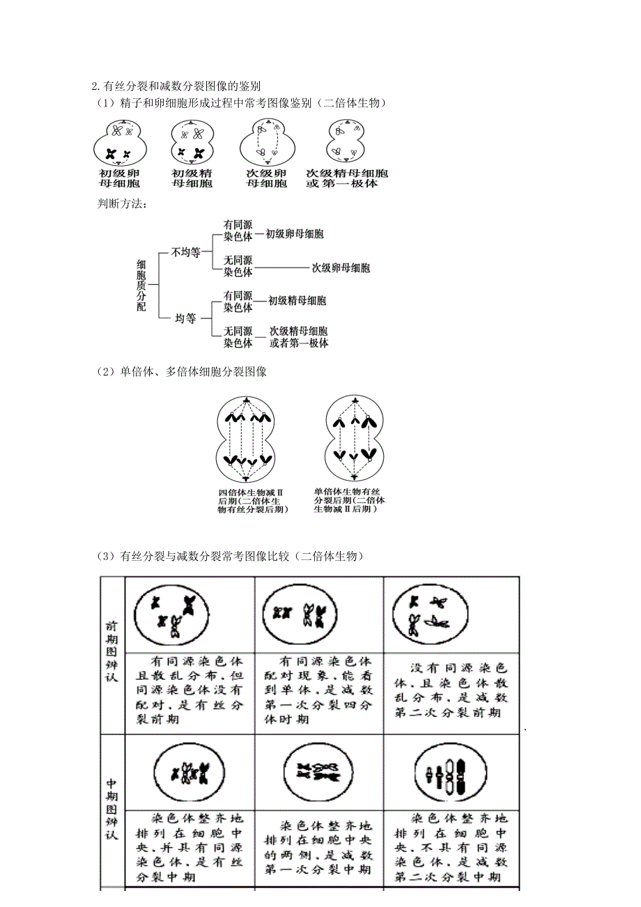 《全国百强校》山西省忻州市第一中学高三生物第二轮复习预习案：专题三 细胞分裂 .doc_第3页