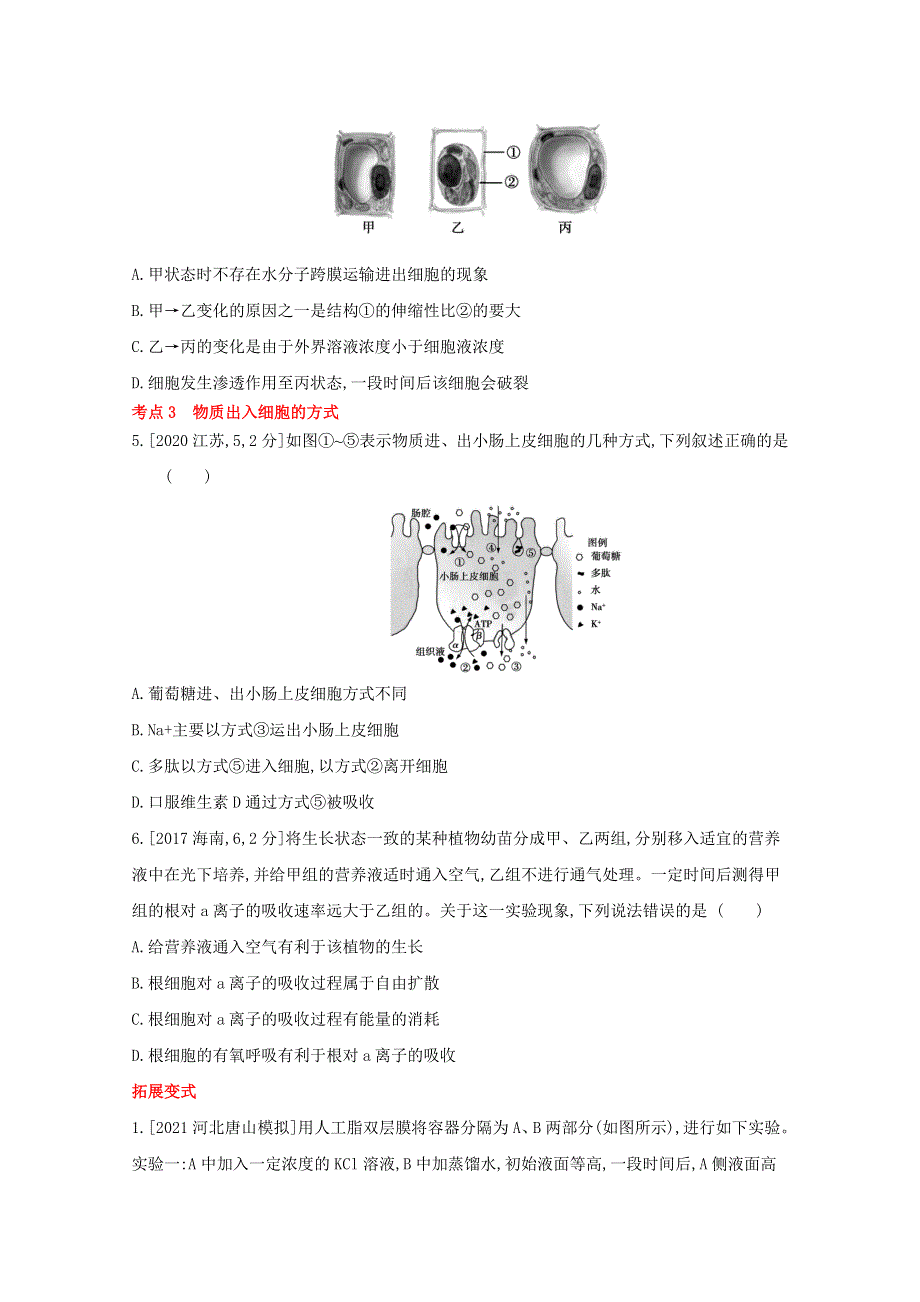 2022届新高考通用版生物一轮复习训练：专题三 细胞的物质输入和输出 1 WORD版含解析.doc_第2页