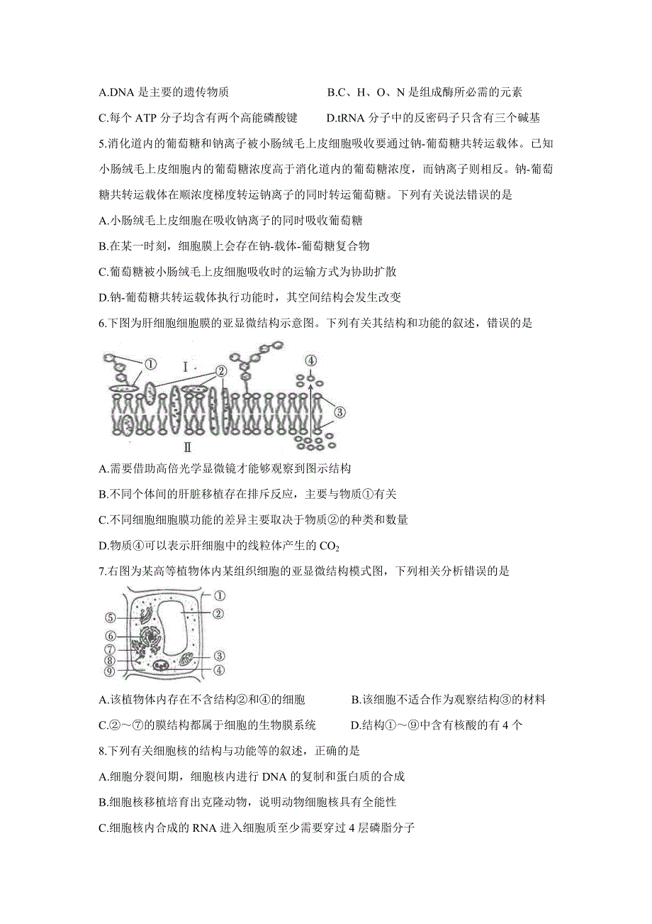 《发布》湖北省京山市、安陆市等百校联考2022届高三上学期10月月考 生物 WORD版含答案BYCHUN.doc_第2页