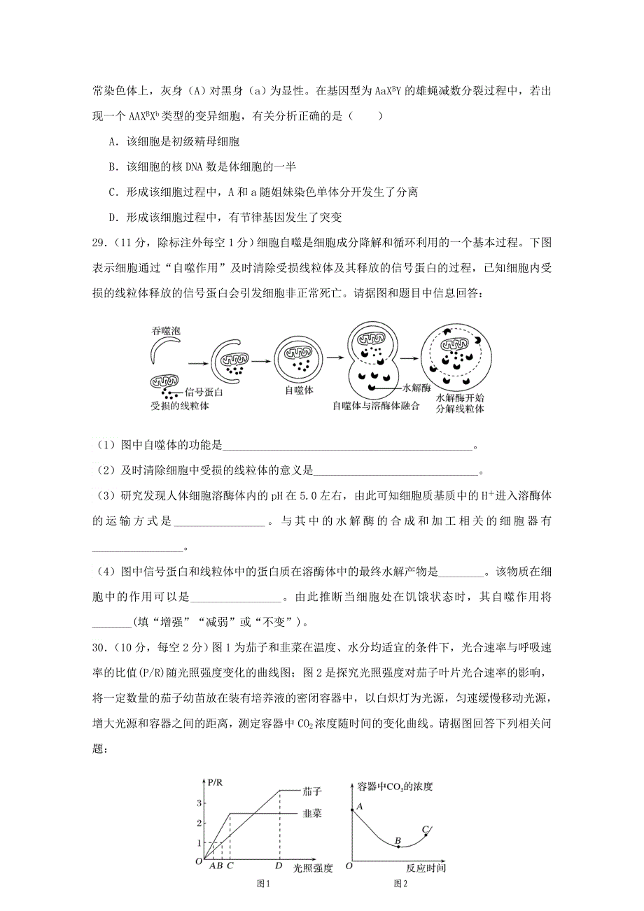 四川省江油中学2021届高三生物上学期开学考试试题.doc_第2页