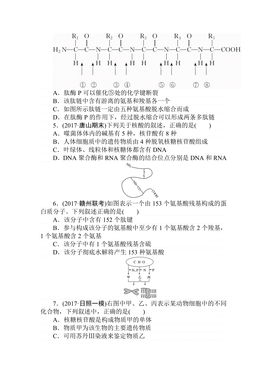 2018高三生物一轮复习课练2 细胞中的蛋白质和核酸 WORD版含解析.doc_第2页