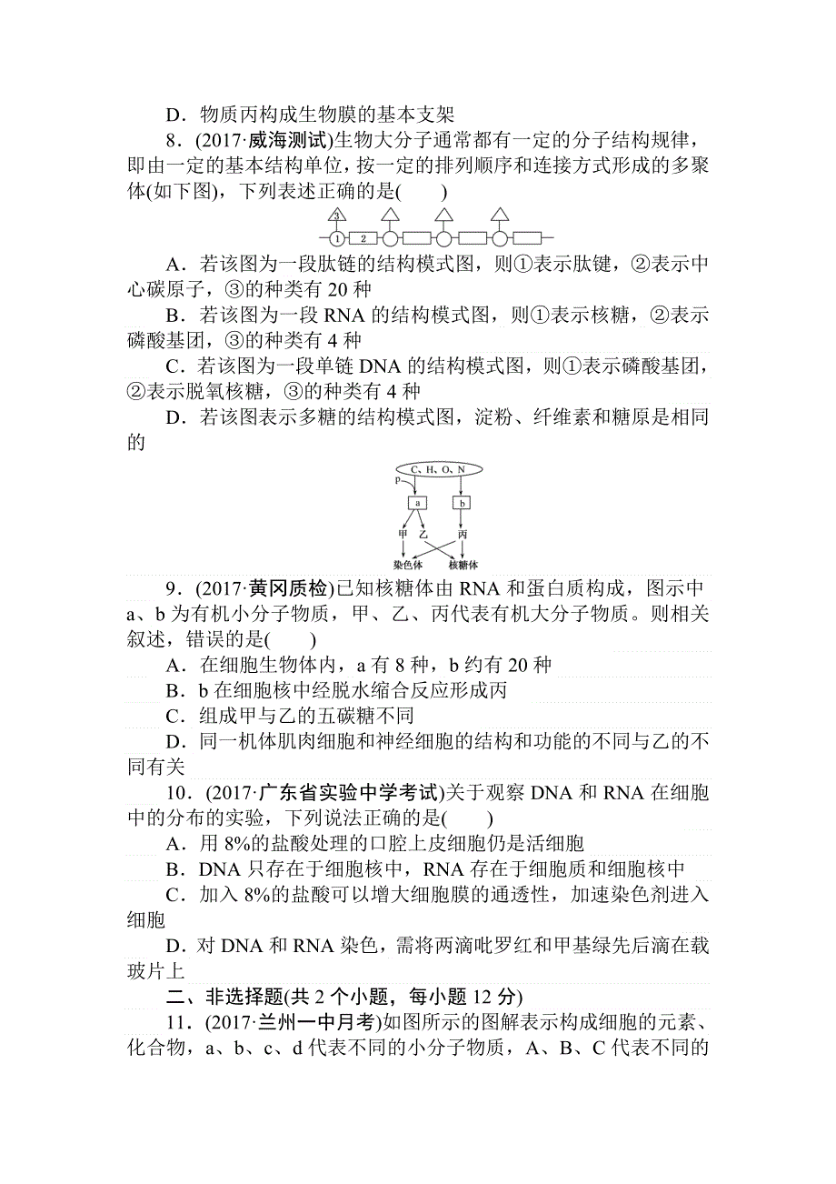 2018高三生物一轮复习课练2 细胞中的蛋白质和核酸 WORD版含解析.doc_第3页