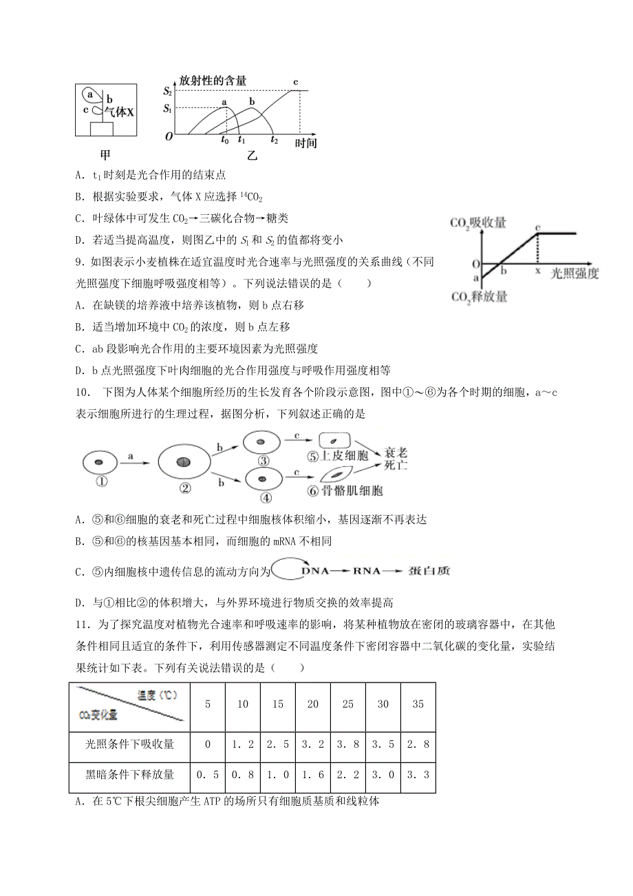 山东省新泰市第一中学老校区（新泰中学）2021届高三生物上学期第一次月考试题.doc_第3页