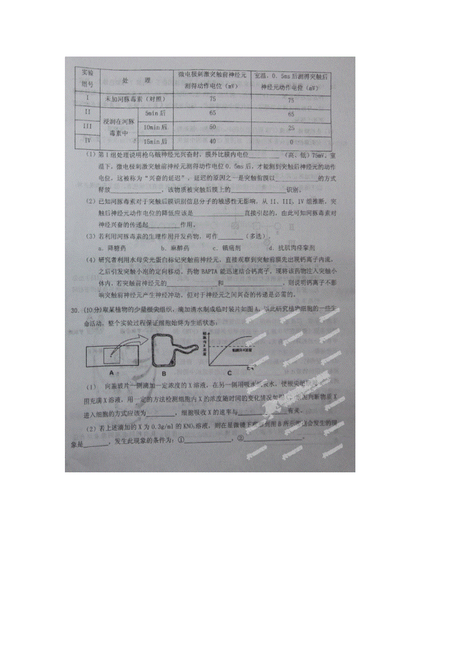 《全国百强校》江西省吉安市第一中学2015届高三下学期第八次周考生物试题（扫描版）.doc_第2页