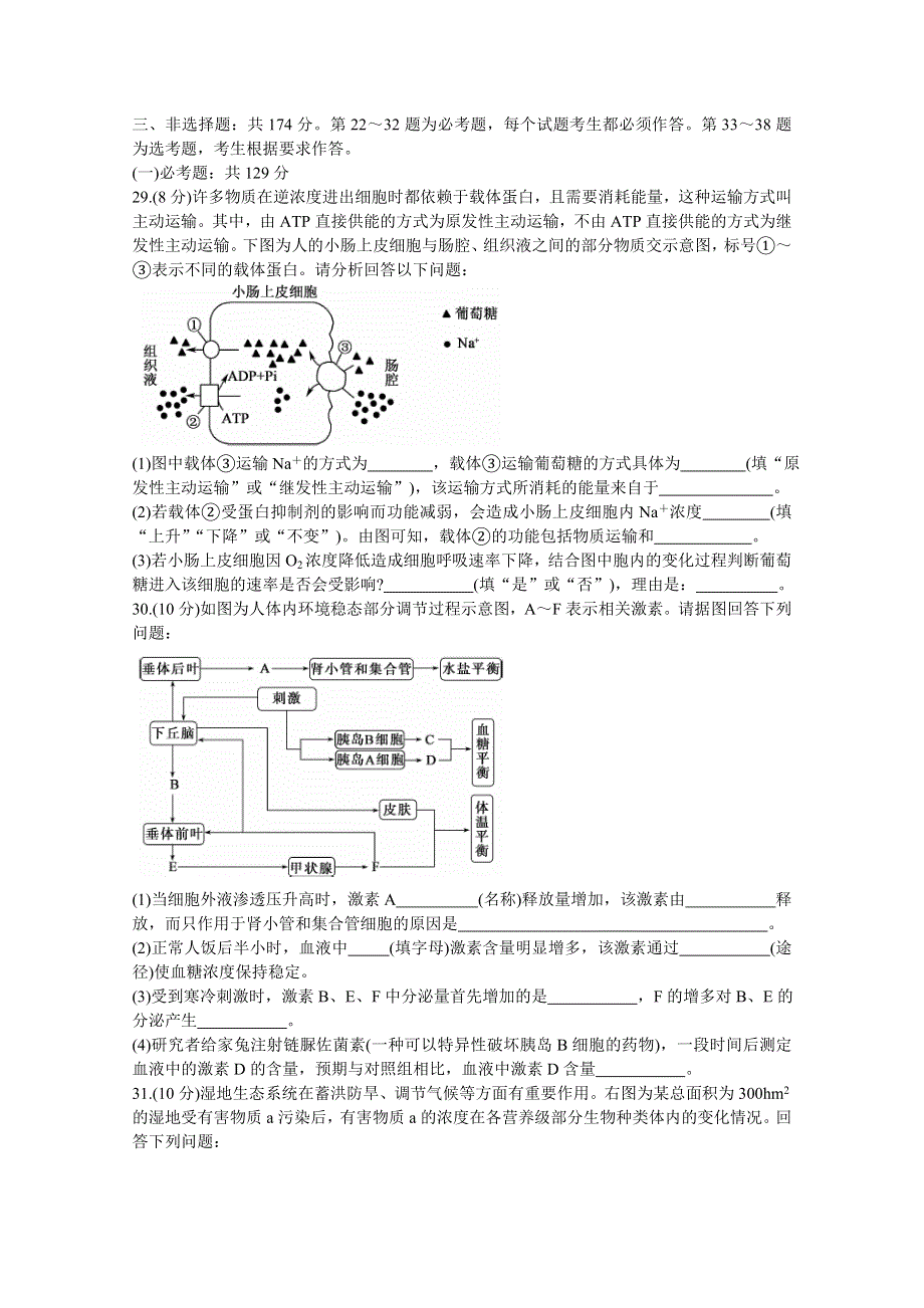 《发布》湖北省黄冈八模系列2020届高三模拟测试（四） 生物 WORD版含答案BYCHUN.doc_第2页