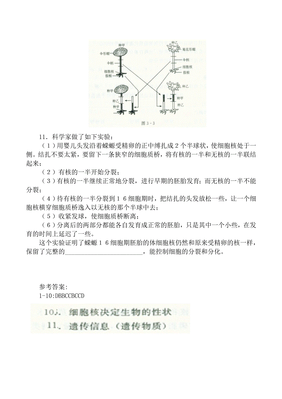 《河东教育》2014年山西省运城市康杰中学高一生物人教版必修1同步练习：3.3《细胞核—系统的控制中心》(四).doc_第2页