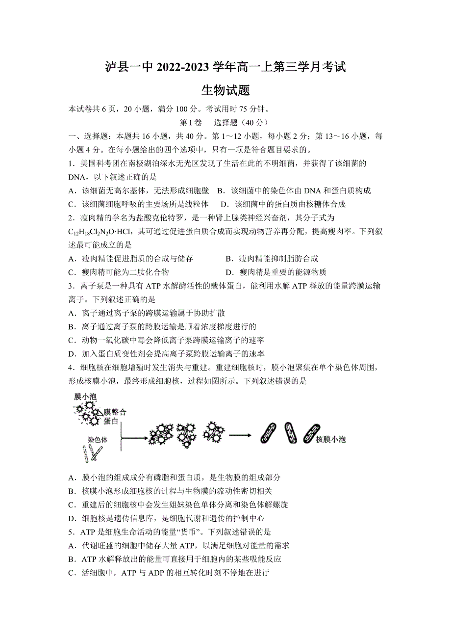 四川省泸县第一中学2022-2023学年高一上学期（12月）第三学月考试生物试卷 含答案.doc_第1页