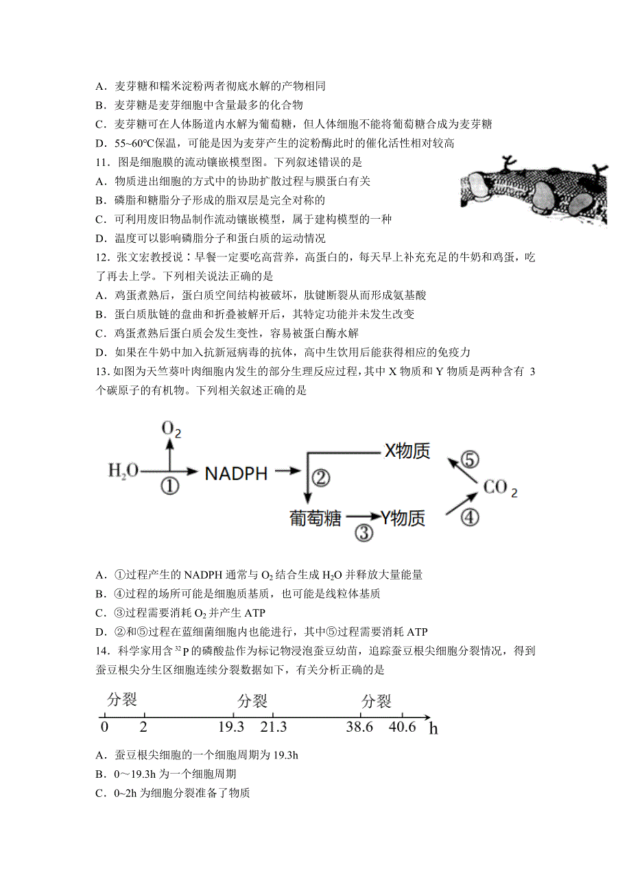 四川省泸县第一中学2022-2023学年高一上学期（12月）第三学月考试生物试卷 含答案.doc_第3页