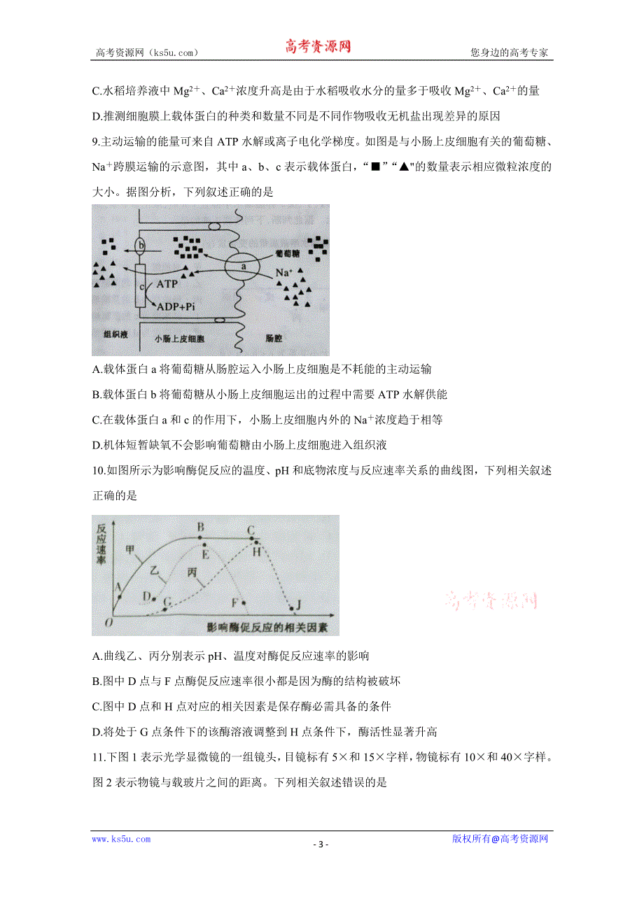 《发布》湖北省黄冈市2021届高三9月质量检测试题 生物 WORD版含答案BYCHUN.doc_第3页