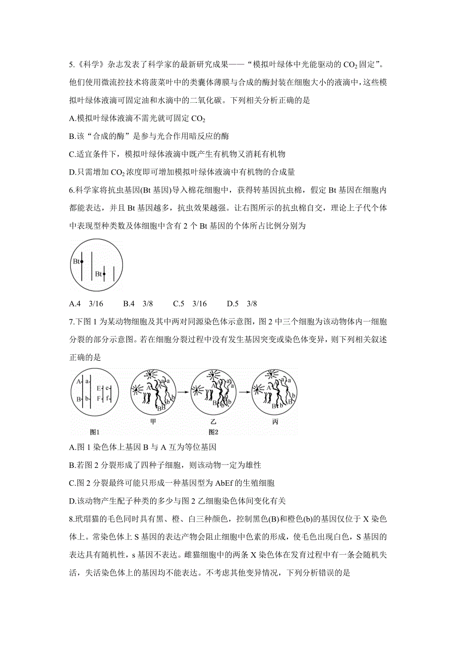 2022届高三8月全国高考分科综合模拟测试 生物 WORD版含答案BYCHUN.doc_第2页