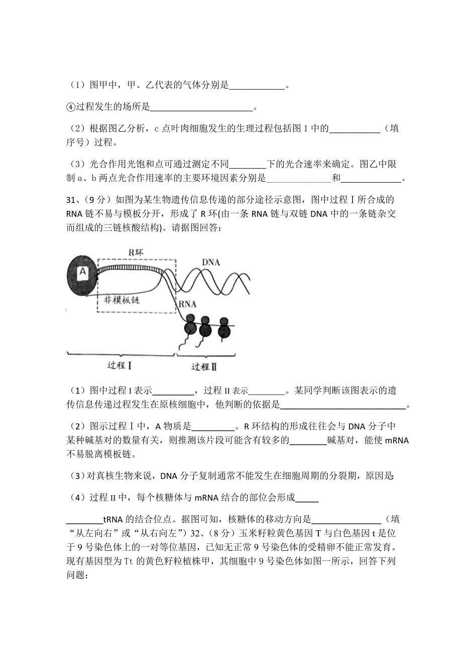 宁夏六盘山高级中学2021届高三上学期第二次月考理综-生物试题 WORD版含答案.docx_第3页