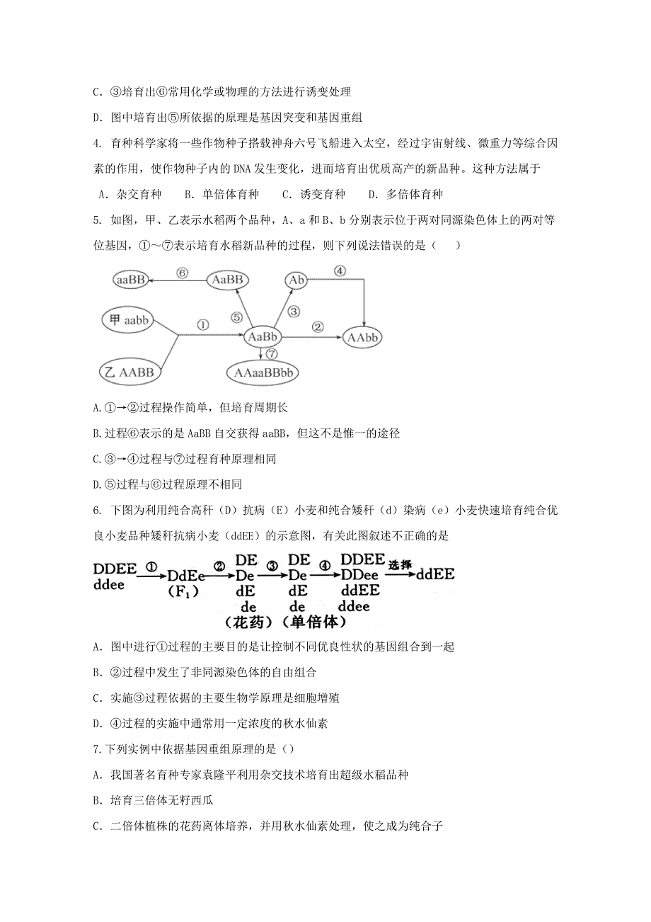 山东省新人教版生物2013届高三单元测试13：必修2第6章《从杂交育种到基因工程》.doc_第2页