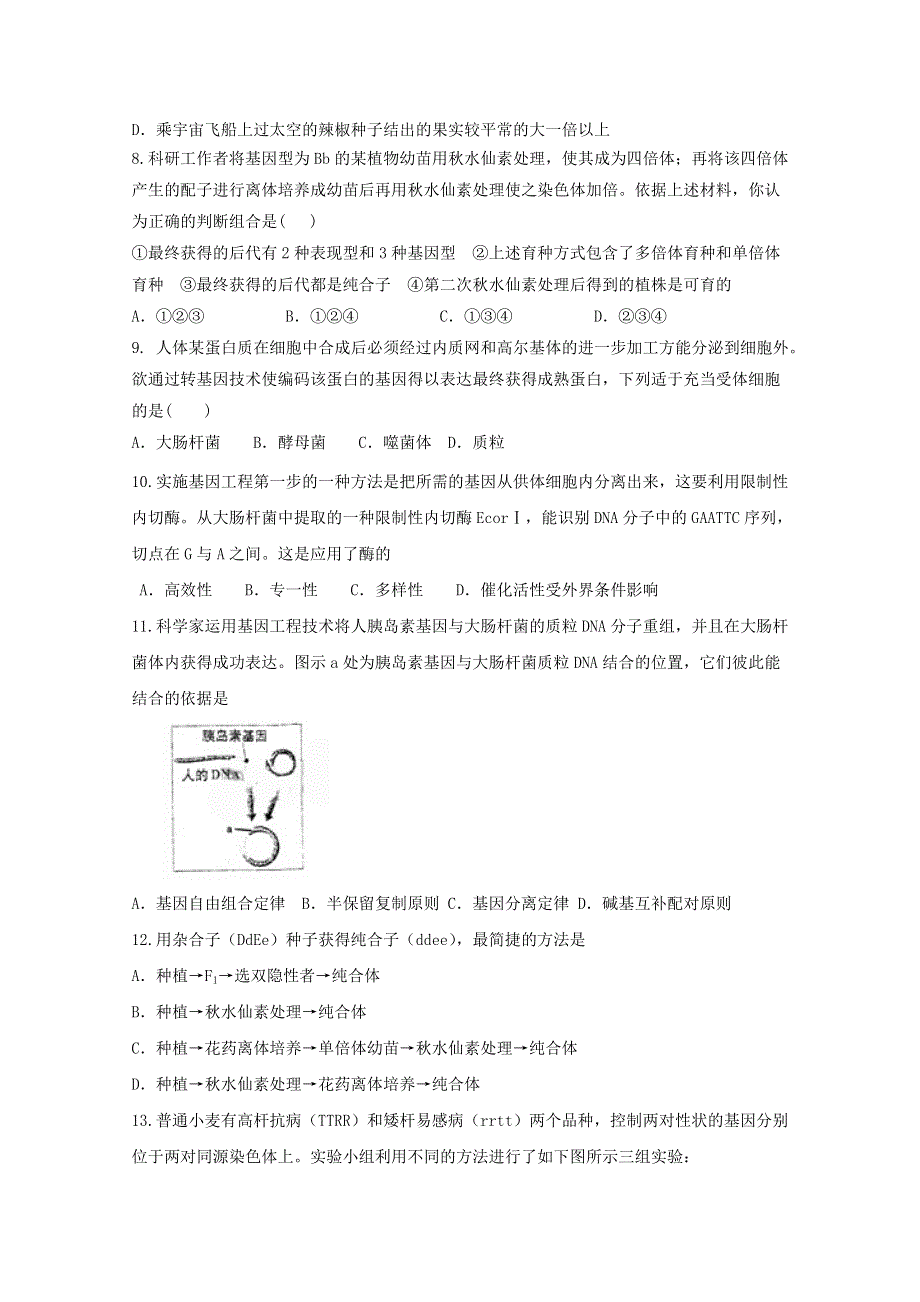 山东省新人教版生物2013届高三单元测试13：必修2第6章《从杂交育种到基因工程》.doc_第3页