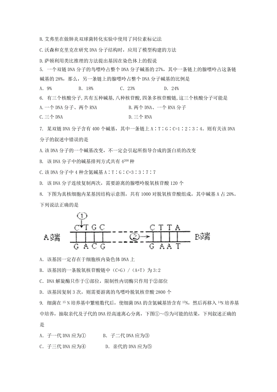 山东省新人教版生物2013届高三单元测试10：必修2第3章《基因的本质》.doc_第2页