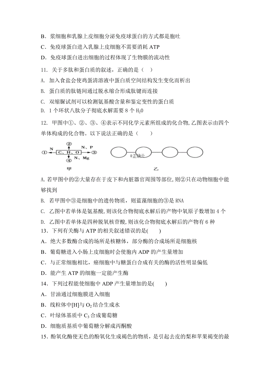 山东省新泰一中2018-2019学年高一（实验班）上学期第二次大单元测试生物试卷 WORD版含答案.doc_第3页