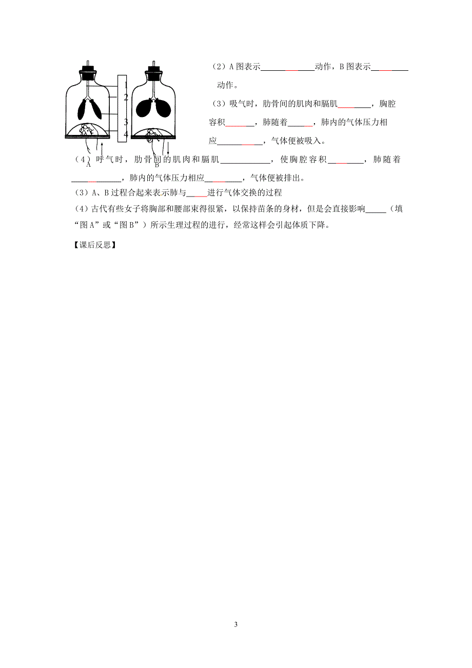 人教版七年级生物下册学案：第3章第二节 发生在肺内的气体交换.doc_第3页