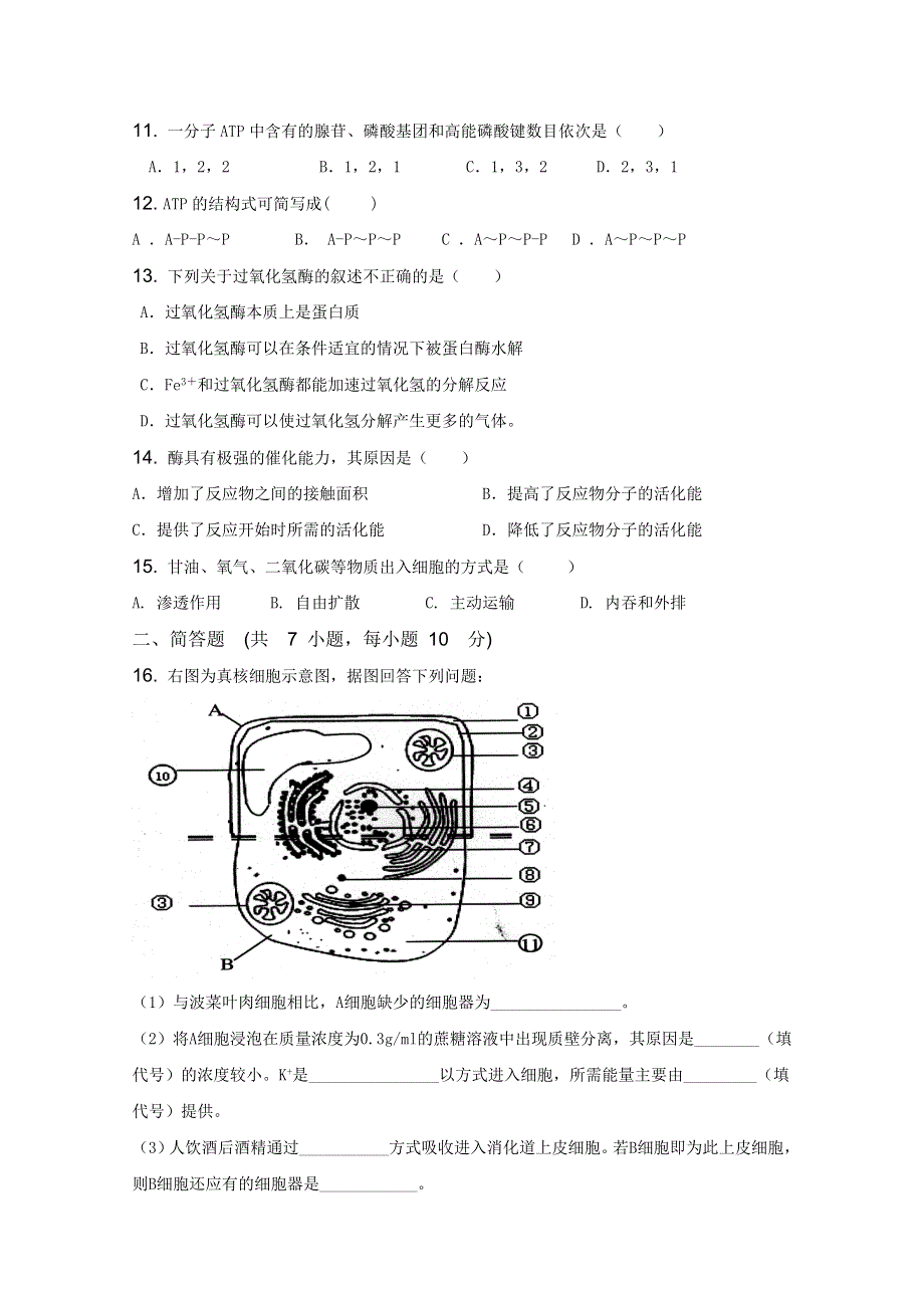 山东省中图版生物2012届高三单元测试5：《细胞的新陈代谢》（必修1）.doc_第3页